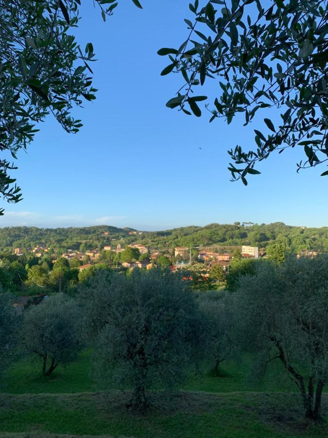Marziani Rustic Tuscan House Capannori Exteriér fotografie