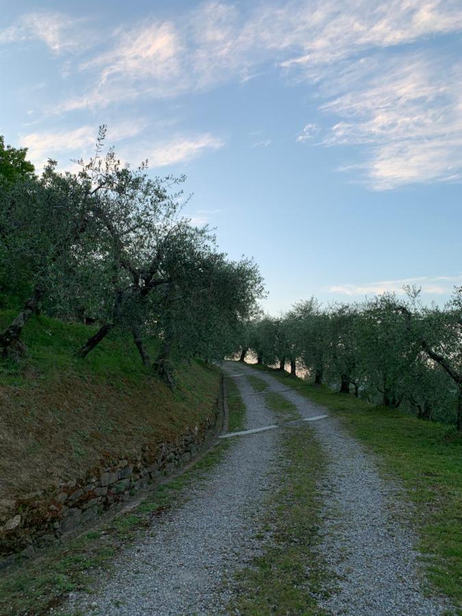 Marziani Rustic Tuscan House Capannori Exteriér fotografie