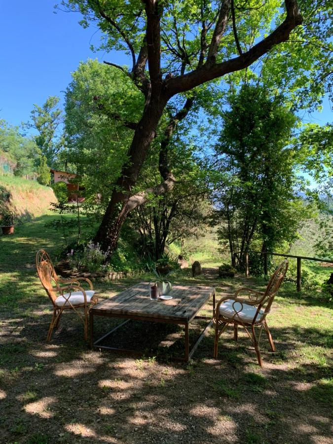 Marziani Rustic Tuscan House Capannori Exteriér fotografie